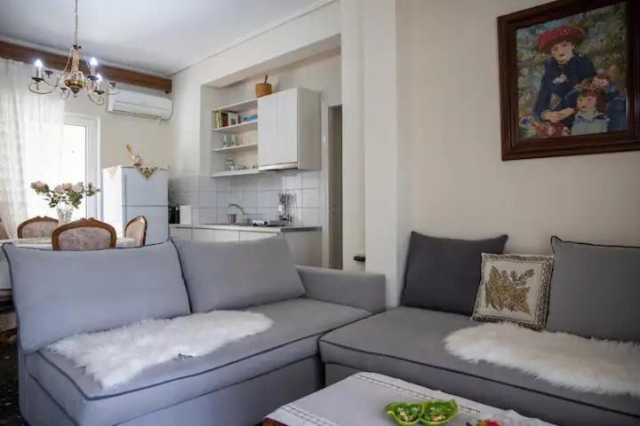 Appartamento Loft House Trikala Esterno foto