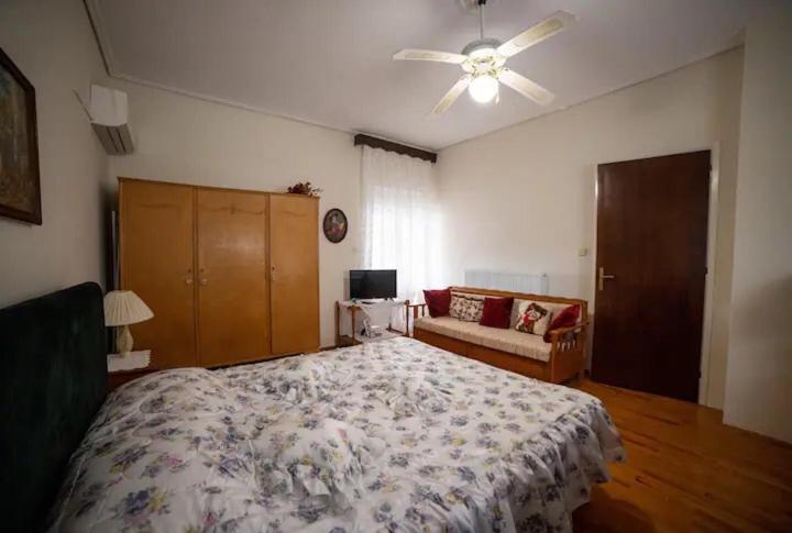 Appartamento Loft House Trikala Esterno foto