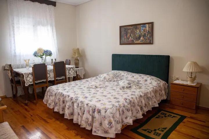 Appartamento Loft House Trikala Esterno foto
