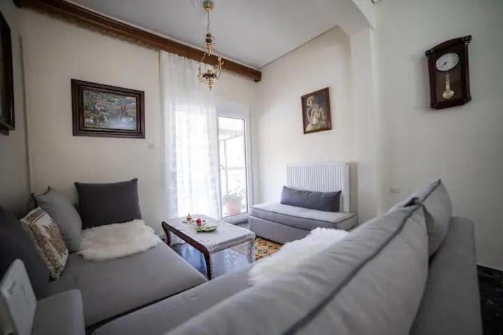 Appartamento Loft House Trikala Esterno foto